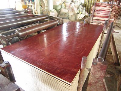 广西品牌建筑模板厂家供应